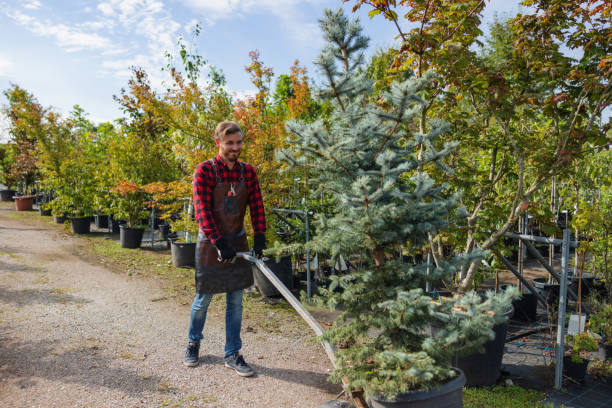 Best Hazardous Tree Removal  in Fayetteville, NY